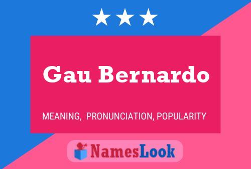 Gau Bernardo 名字海报