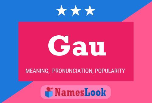 Gau 名字海报