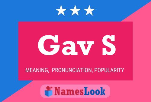 Gav S 名字海报