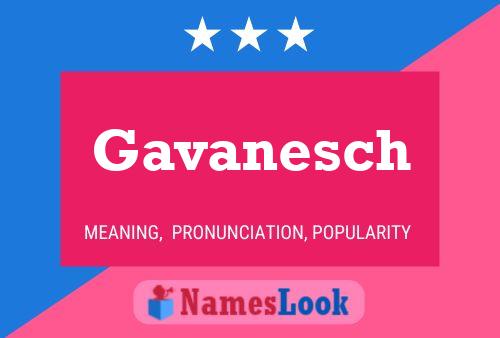 Gavanesch 名字海报