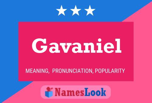 Gavaniel 名字海报