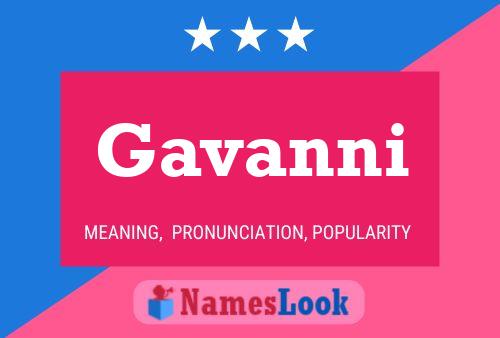 Gavanni 名字海报