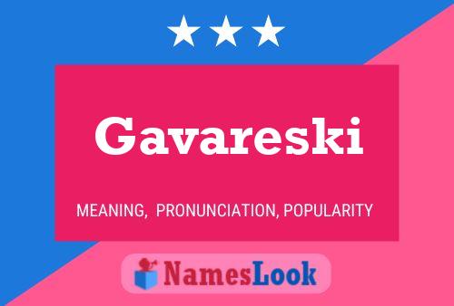 Gavareski 名字海报