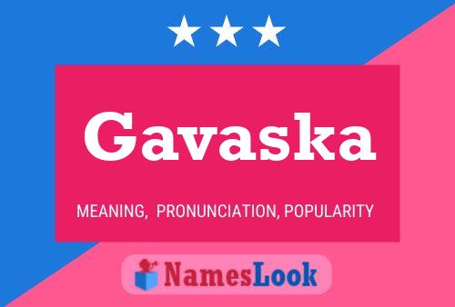 Gavaska 名字海报