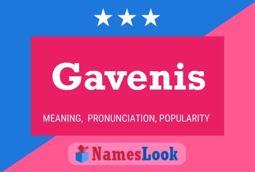 Gavenis 名字海报