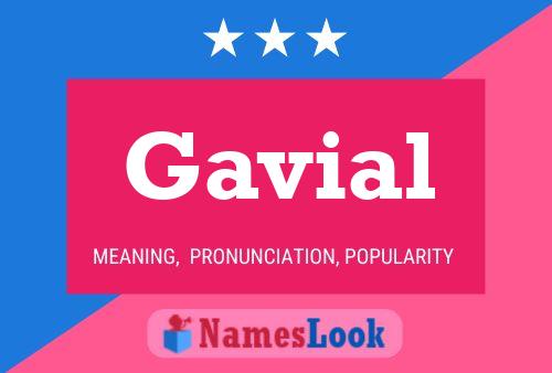 Gavial 名字海报