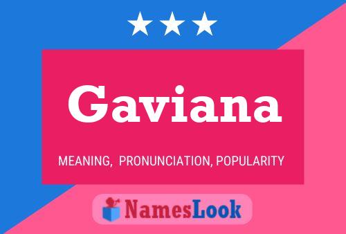 Gaviana 名字海报