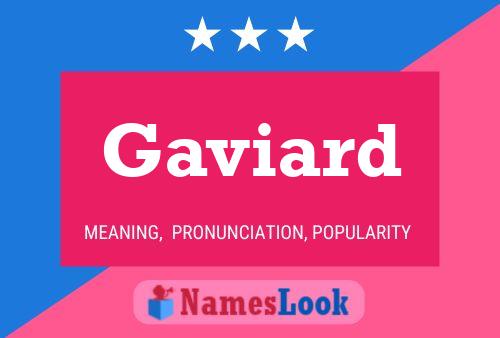 Gaviard 名字海报