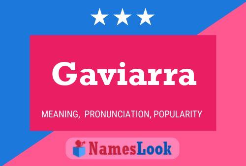 Gaviarra 名字海报