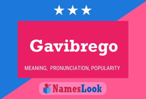 Gavibrego 名字海报