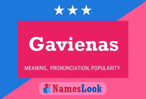 Gavienas 名字海报