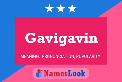 Gavigavin 名字海报