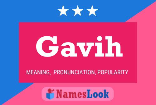 Gavih 名字海报