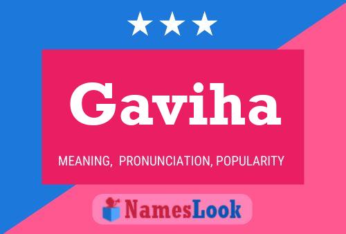 Gaviha 名字海报