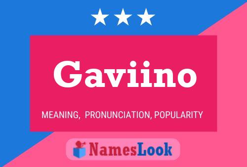 Gaviino 名字海报