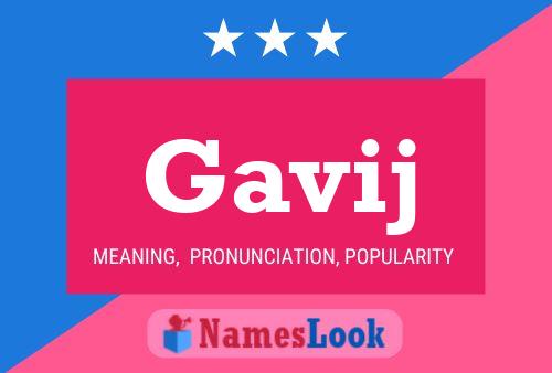 Gavij 名字海报