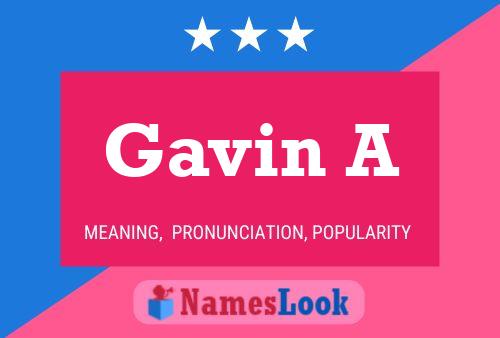 Gavin A 名字海报