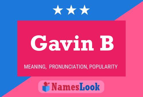 Gavin B 名字海报