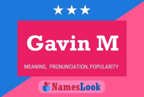 Gavin M 名字海报