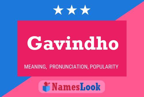 Gavindho 名字海报