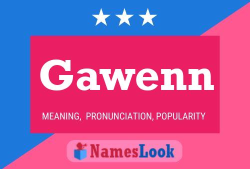 Gawenn 名字海报