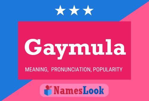 Gaymula 名字海报