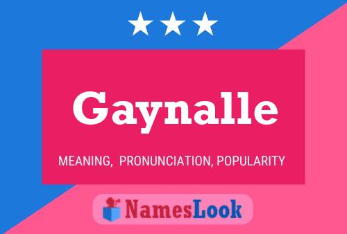 Gaynalle 名字海报