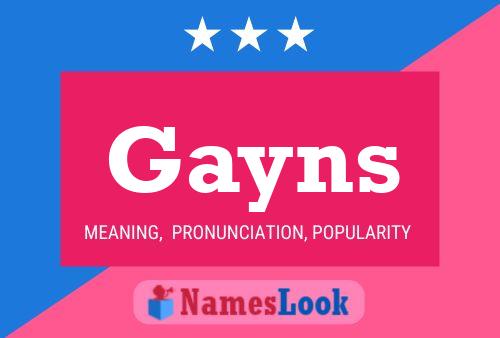 Gayns 名字海报