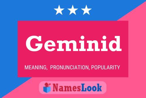 Geminid 名字海报