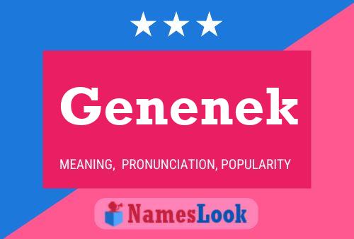 Genenek 名字海报