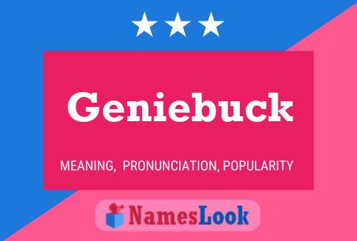 Geniebuck 名字海报