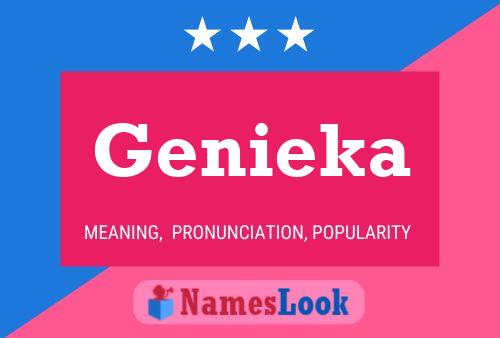 Genieka 名字海报