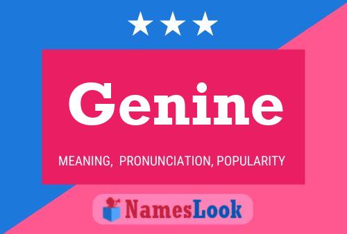 Genine 名字海报