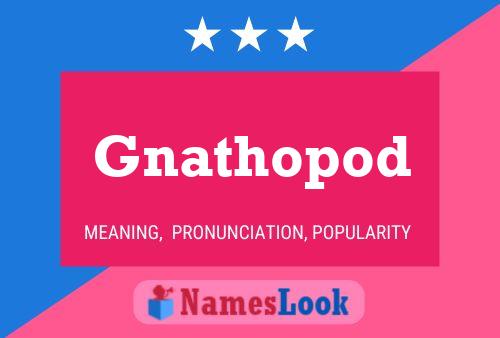 Gnathopod 名字海报