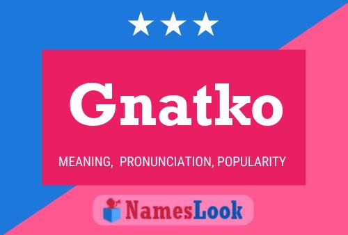 Gnatko 名字海报