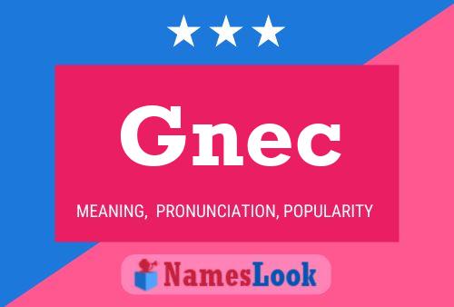 Gnec 名字海报