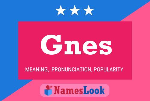 Gnes 名字海报