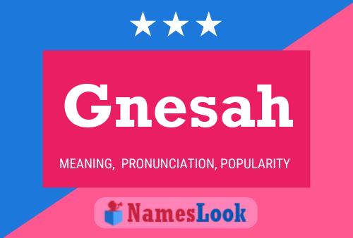 Gnesah 名字海报