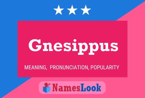 Gnesippus 名字海报