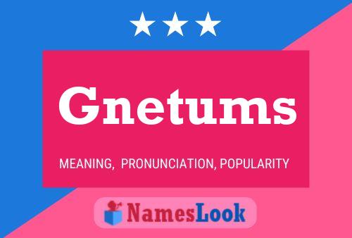 Gnetums 名字海报