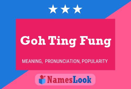 Goh Ting Fung 名字海报