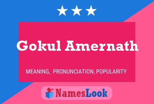 Gokul Amernath 名字海报