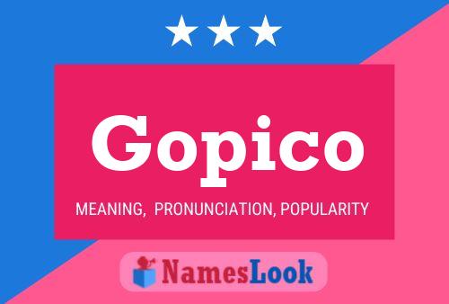 Gopico 名字海报