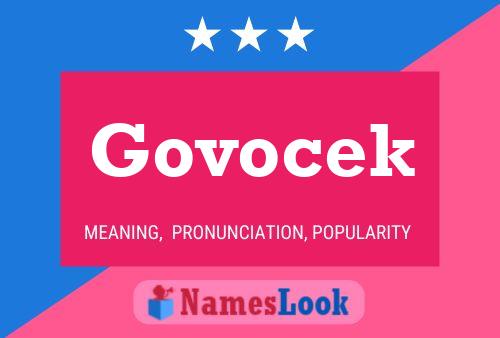 Govocek 名字海报