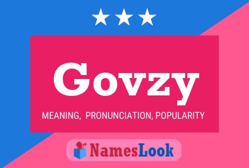 Govzy 名字海报