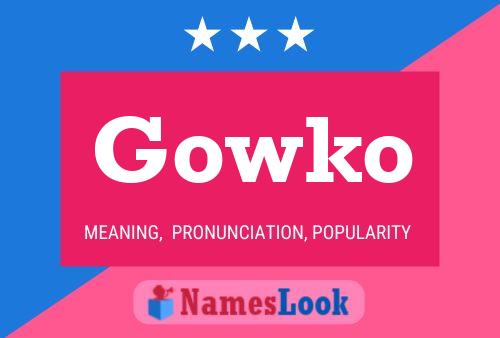 Gowko 名字海报