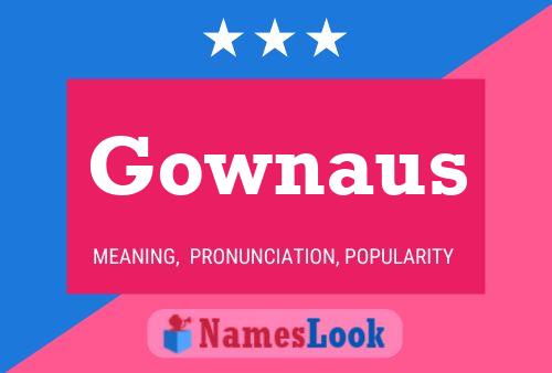 Gownaus 名字海报