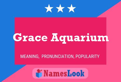 Grace Aquarium 名字海报