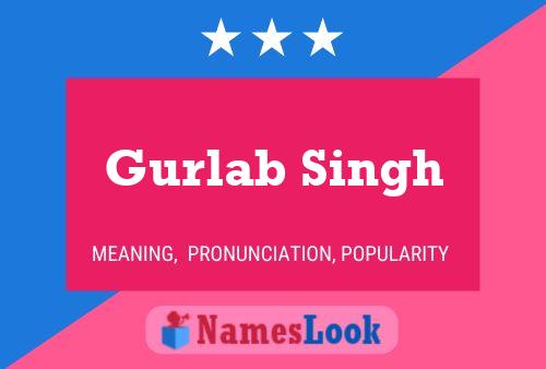 Gurlab Singh 名字海报