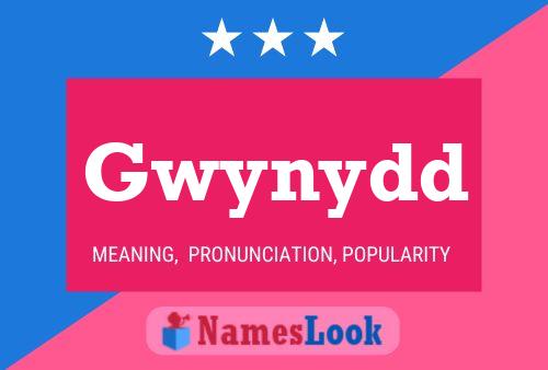 Gwynydd 名字海报